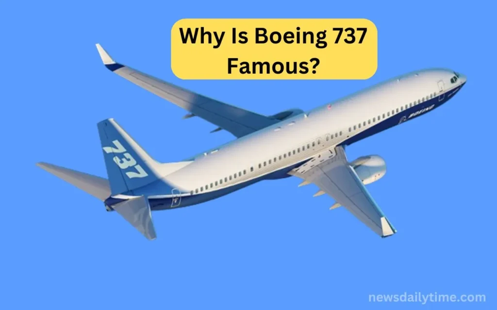 Why Is Boeing 737 Famous
